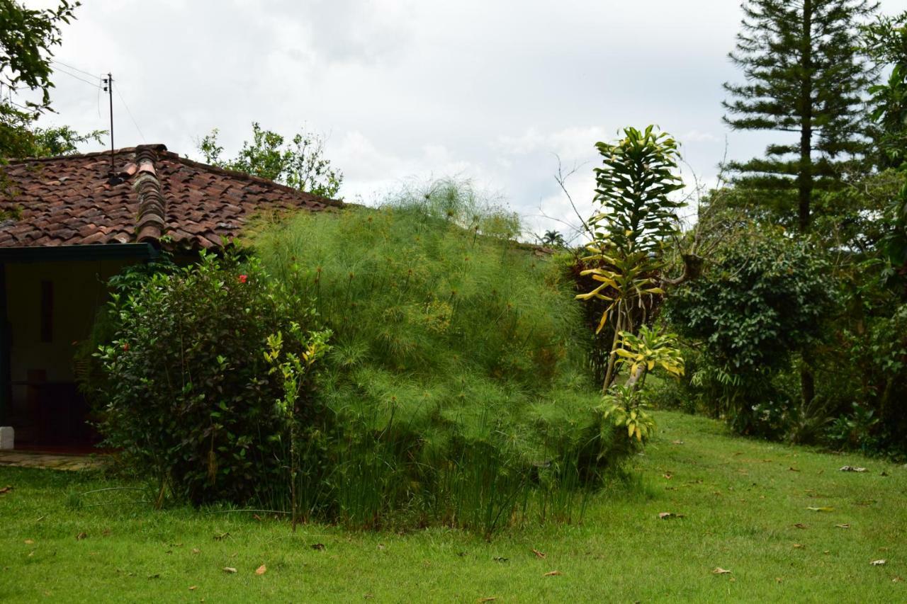 Casa El Cedro Bed & Breakfast Charala Exterior photo